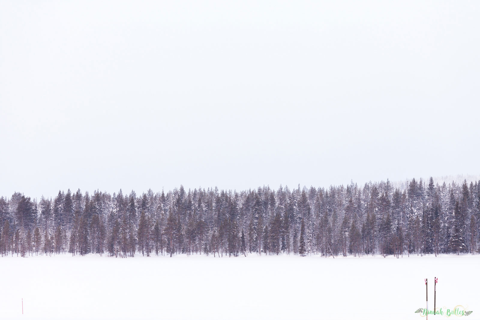 Laponie, voyage, ninaah bulles, finlande, neige, photo, paysage, voyage, blog voyage, cercle arctic, arctique, grand nord, grand froid 