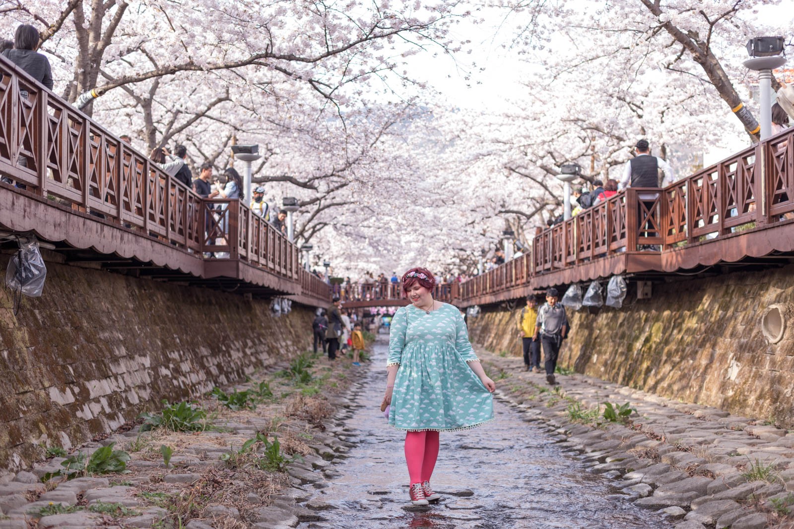 ninaah bulles, jinhae, sakura, coree du sud, festival de jinhae, look, diy, grande taille, fleurs de cerisier, magique