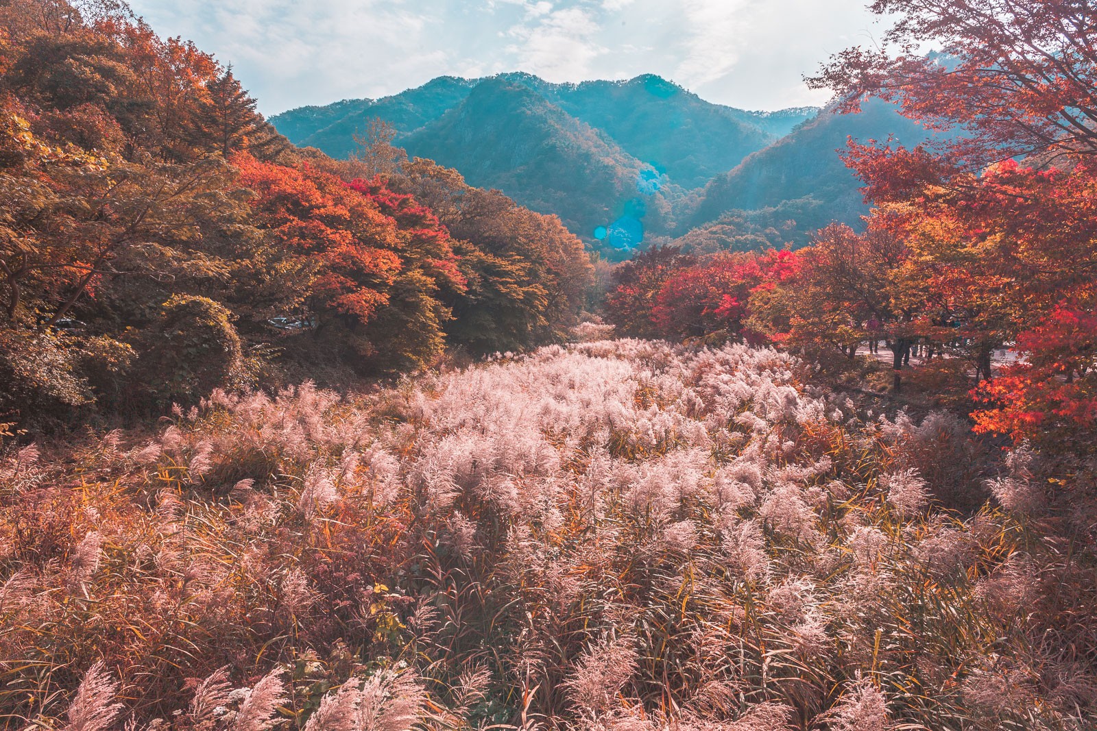 Ninaah Bulles, Corée du sud, korea, naejangsan, montage, automne, randonnée, feuille d'automne, blog voyage, voyage